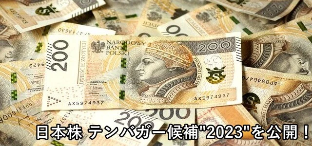 日本株 テンバガー候補