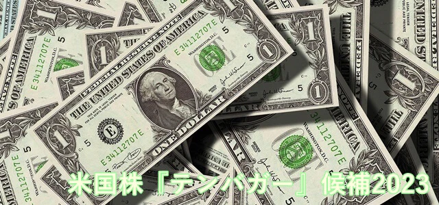 米国株 テンバガー候補