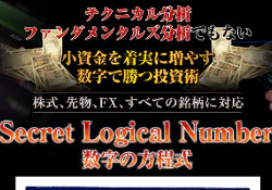 Secret Logical Number(数字の方程式)