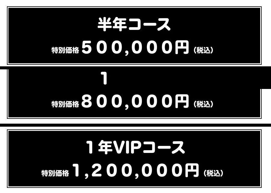 金こむ株式投資スクール公式ページの料金表示。半年コース特別価格500,000円（税込）、1年コース特別価格800,000円（税込）、1年VIPコース特別価格1,200,000円（税込）と3つ並んでいる