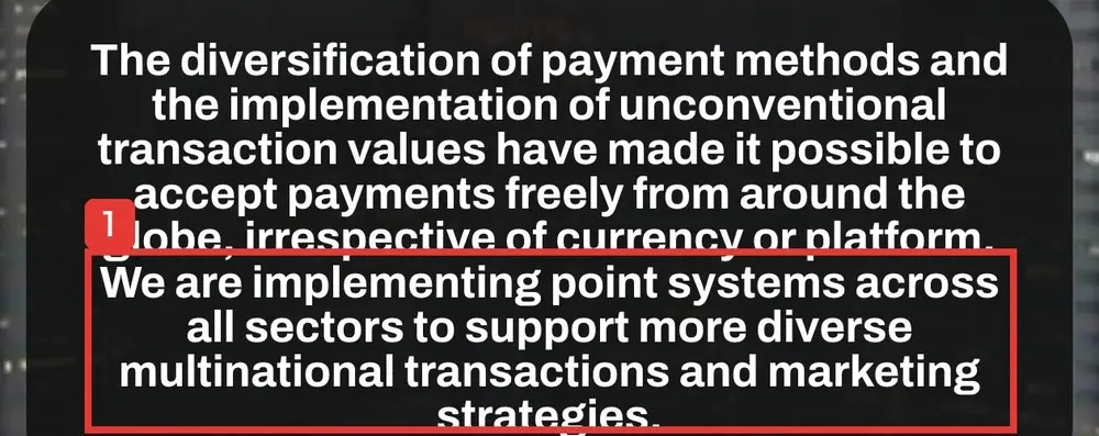 Webwise Solutionのサイトの最初の画面の説明文。We are implementing point systems across all sectors to support more diverse multinational transactions and marketing strategies.と書かれている