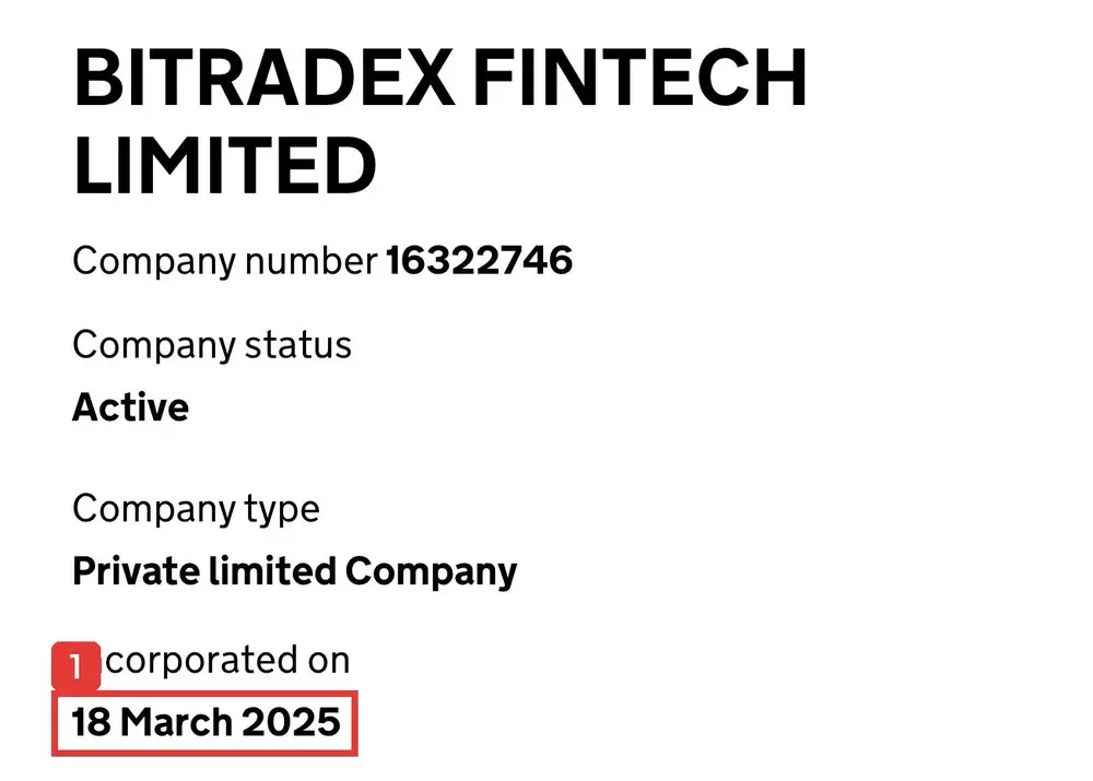 英国Companies Houseの会社情報のページ。BITRADEX FINTECH LIMITED、Company number 16322746、Company status Active、Company type Private limited Company、Incorporated on 18 March 2025と書かれている
