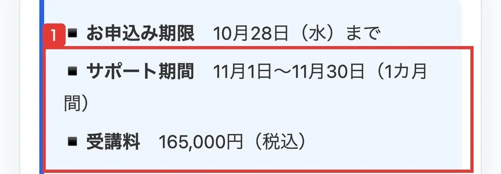 申込ページの上部。お申込み期限は10月28日（水）まで、サポート期間は11月1日〜11月30日（1カ月間）、受講料は165,000円（税込）と書かれている