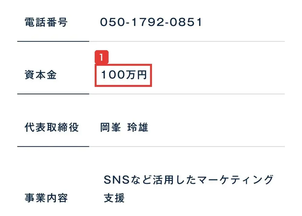 株式会社スケールメディアの会社概要。資本金100万円、代表取締役岡峯玲雄、事業内容はSNSなど活用したマーケティング支援と書かれている