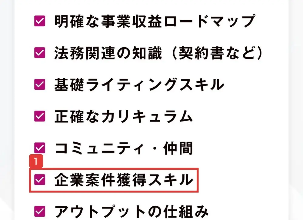 Lead AIのLPのLead AIが提供するものの一覧。明確な事業収益ロードマップ、基礎ライティングスキル、企業案件獲得スキルなどが並んでいる